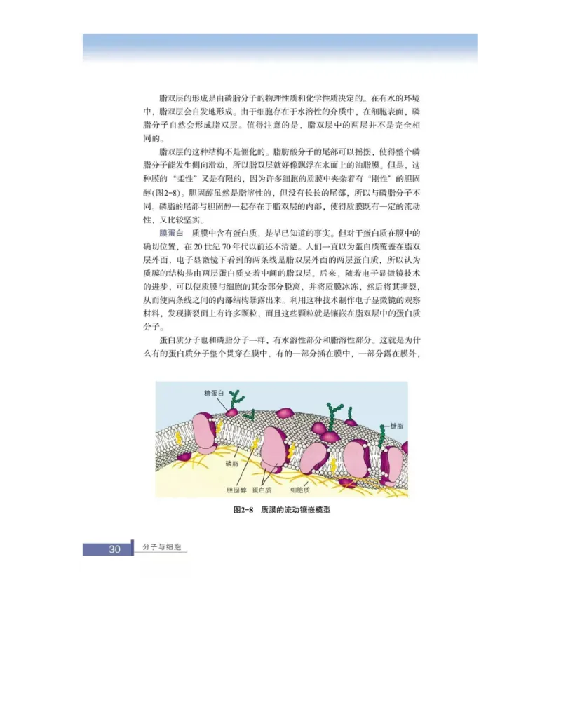 浙科版高中生物必修1《分子与细胞》电子课本_高中电子课本_最新版高中全科高清电子课本_6高中生物课本_浙科版高中生物