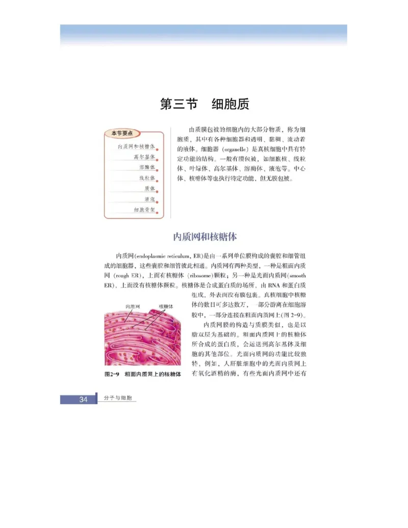 浙科版高中生物必修1《分子与细胞》电子课本_高中电子课本_最新版高中全科高清电子课本_6高中生物课本_浙科版高中生物