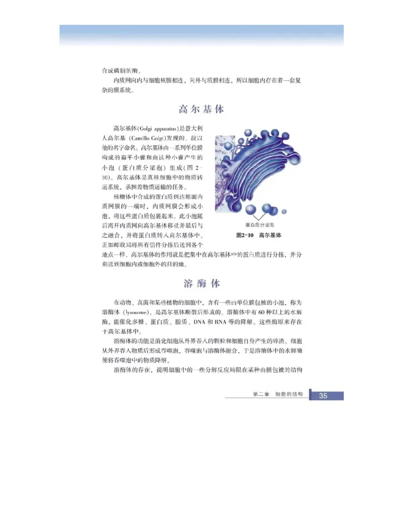 浙科版高中生物必修1《分子与细胞》电子课本_高中电子课本_最新版高中全科高清电子课本_6高中生物课本_浙科版高中生物