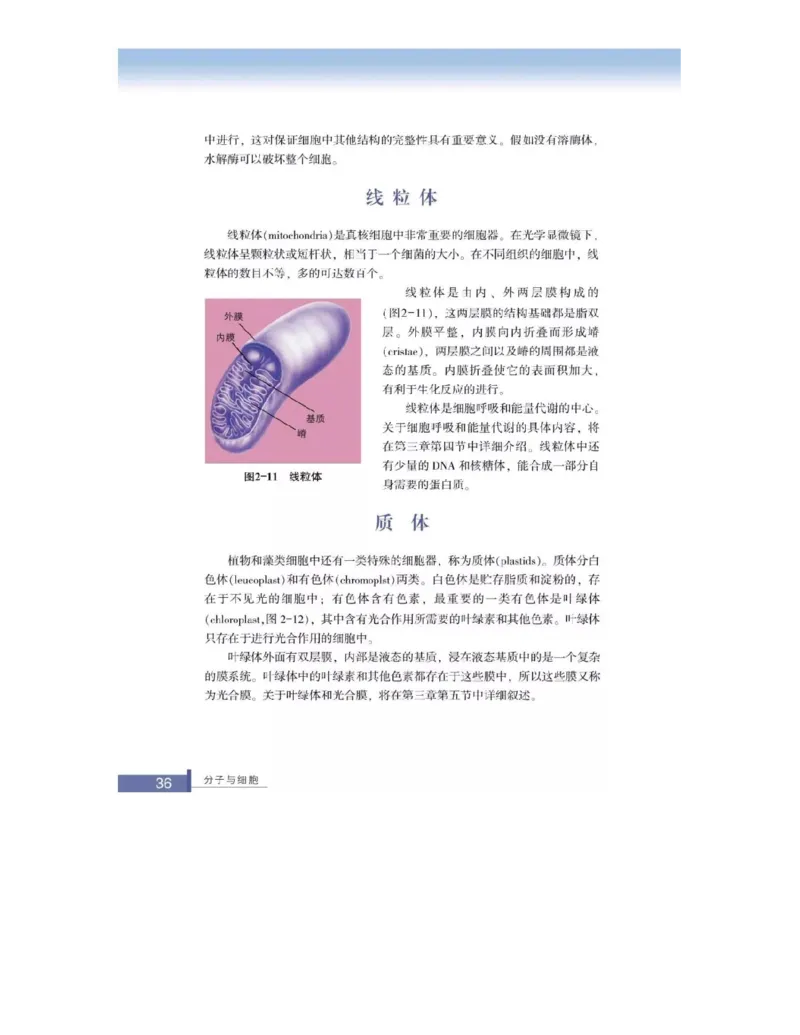 浙科版高中生物必修1《分子与细胞》电子课本_高中电子课本_最新版高中全科高清电子课本_6高中生物课本_浙科版高中生物