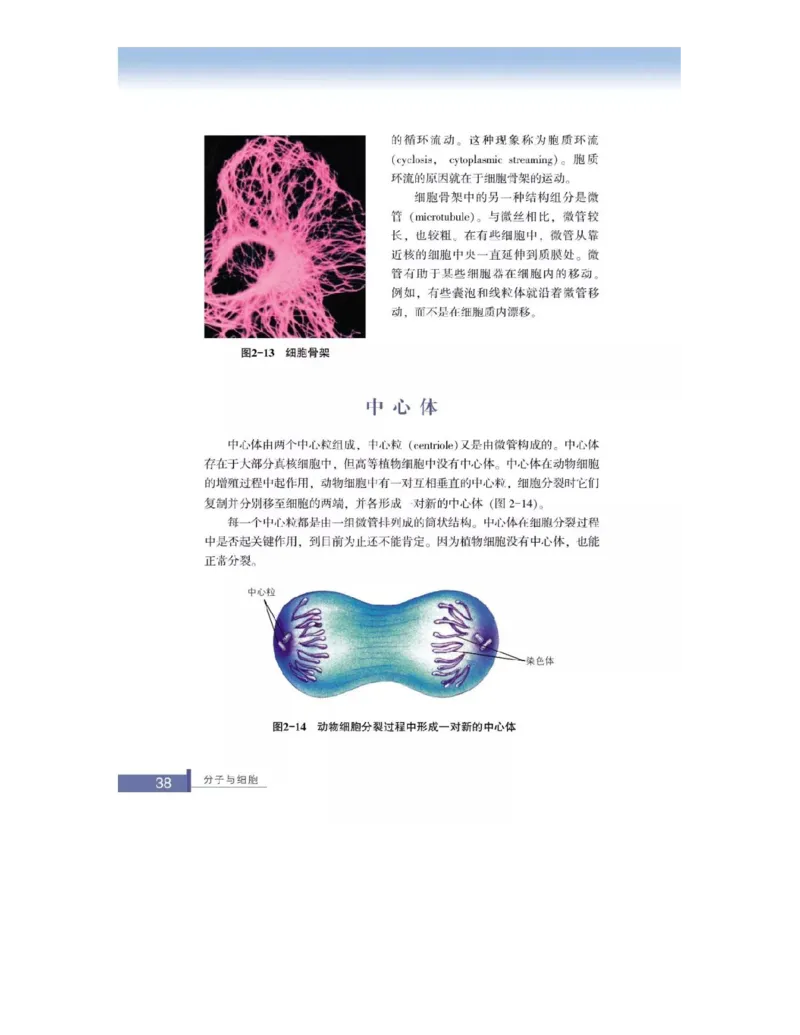 浙科版高中生物必修1《分子与细胞》电子课本_高中电子课本_最新版高中全科高清电子课本_6高中生物课本_浙科版高中生物