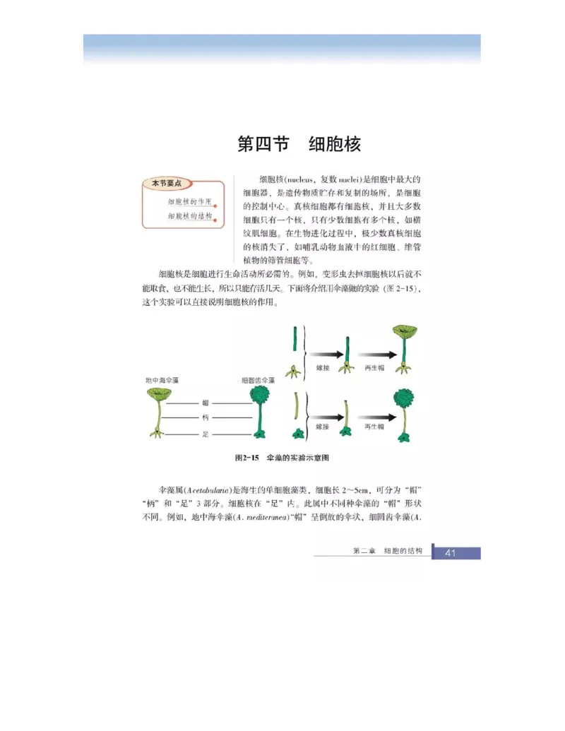 浙科版高中生物必修1《分子与细胞》电子课本_高中电子课本_最新版高中全科高清电子课本_6高中生物课本_浙科版高中生物