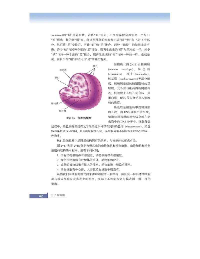 浙科版高中生物必修1《分子与细胞》电子课本_高中电子课本_最新版高中全科高清电子课本_6高中生物课本_浙科版高中生物