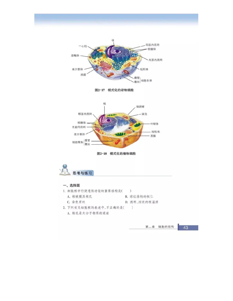 浙科版高中生物必修1《分子与细胞》电子课本_高中电子课本_最新版高中全科高清电子课本_6高中生物课本_浙科版高中生物
