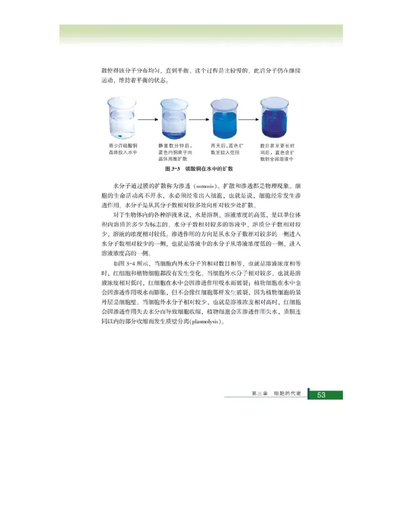 浙科版高中生物必修1《分子与细胞》电子课本_高中电子课本_最新版高中全科高清电子课本_6高中生物课本_浙科版高中生物