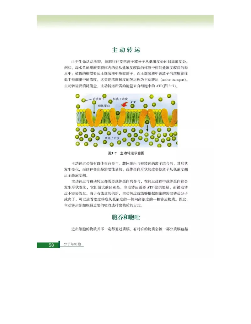 浙科版高中生物必修1《分子与细胞》电子课本_高中电子课本_最新版高中全科高清电子课本_6高中生物课本_浙科版高中生物