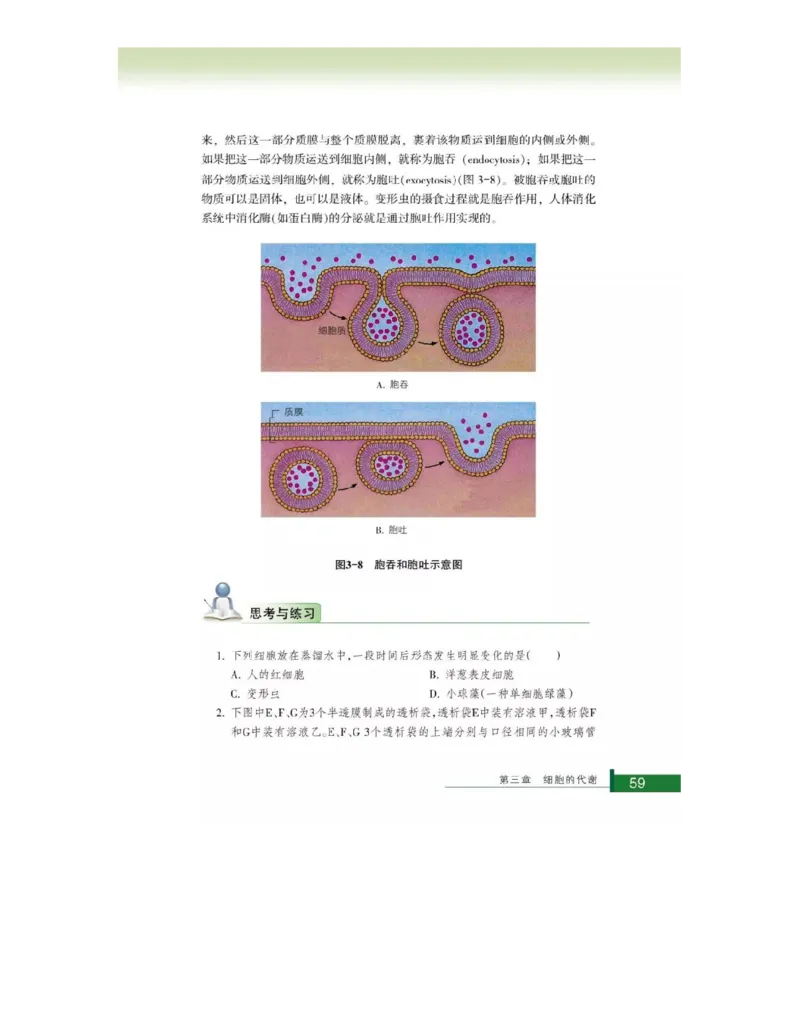 浙科版高中生物必修1《分子与细胞》电子课本_高中电子课本_最新版高中全科高清电子课本_6高中生物课本_浙科版高中生物