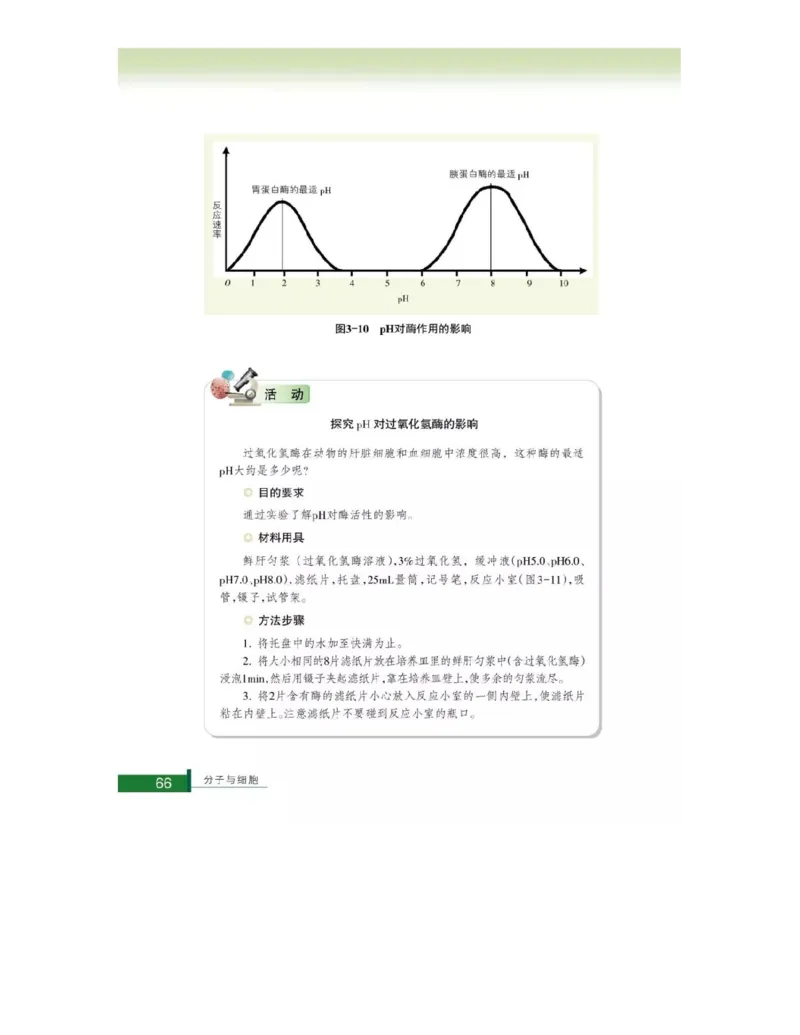 浙科版高中生物必修1《分子与细胞》电子课本_高中电子课本_最新版高中全科高清电子课本_6高中生物课本_浙科版高中生物