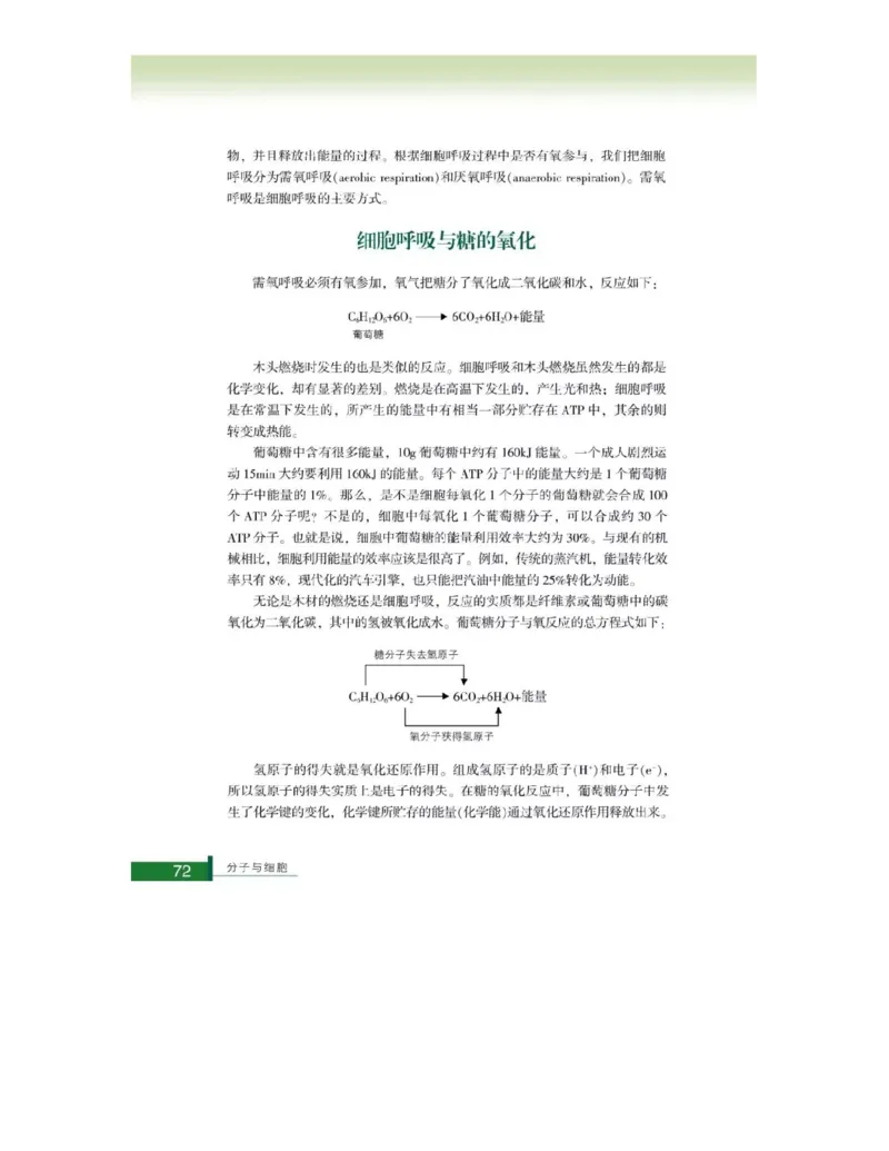 浙科版高中生物必修1《分子与细胞》电子课本_高中电子课本_最新版高中全科高清电子课本_6高中生物课本_浙科版高中生物