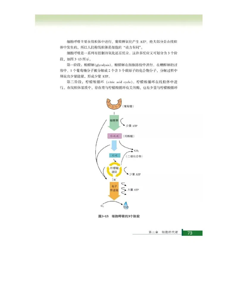 浙科版高中生物必修1《分子与细胞》电子课本_高中电子课本_最新版高中全科高清电子课本_6高中生物课本_浙科版高中生物