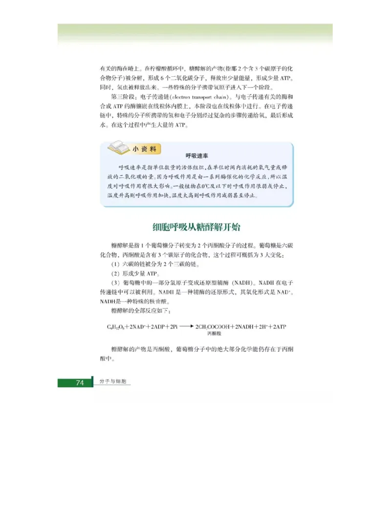 浙科版高中生物必修1《分子与细胞》电子课本_高中电子课本_最新版高中全科高清电子课本_6高中生物课本_浙科版高中生物