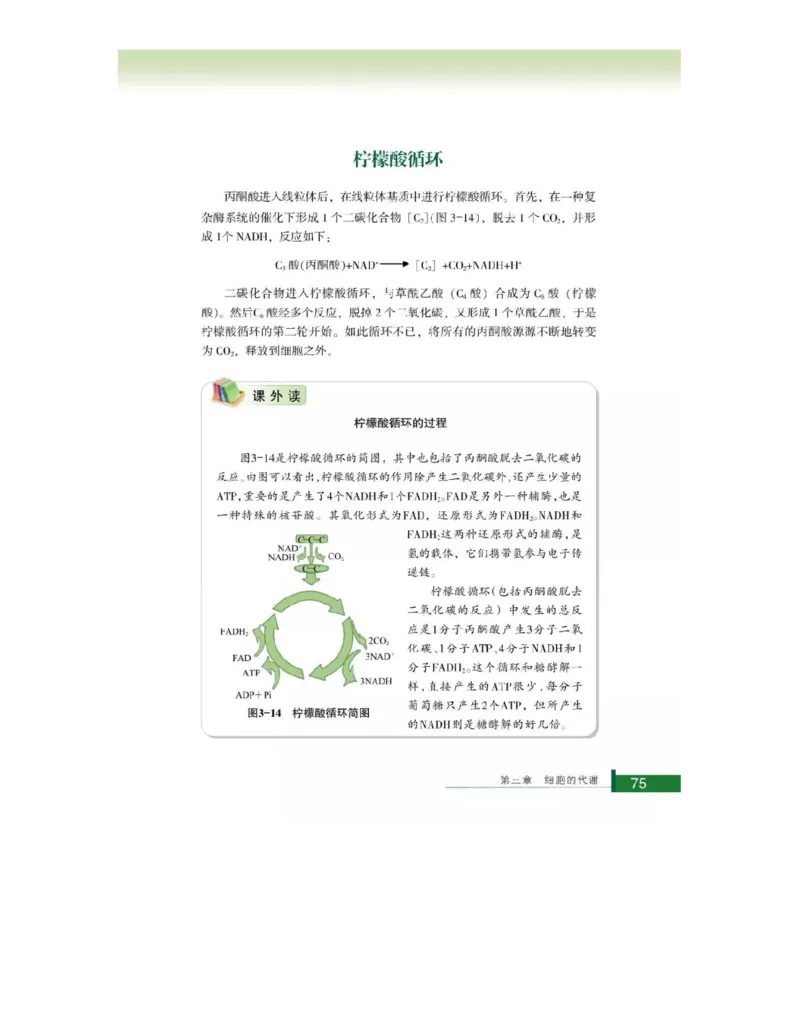 浙科版高中生物必修1《分子与细胞》电子课本_高中电子课本_最新版高中全科高清电子课本_6高中生物课本_浙科版高中生物