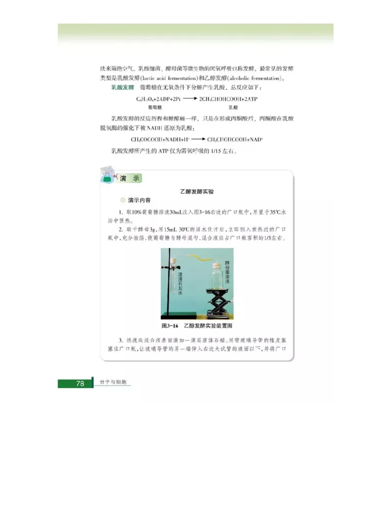 浙科版高中生物必修1《分子与细胞》电子课本_高中电子课本_最新版高中全科高清电子课本_6高中生物课本_浙科版高中生物