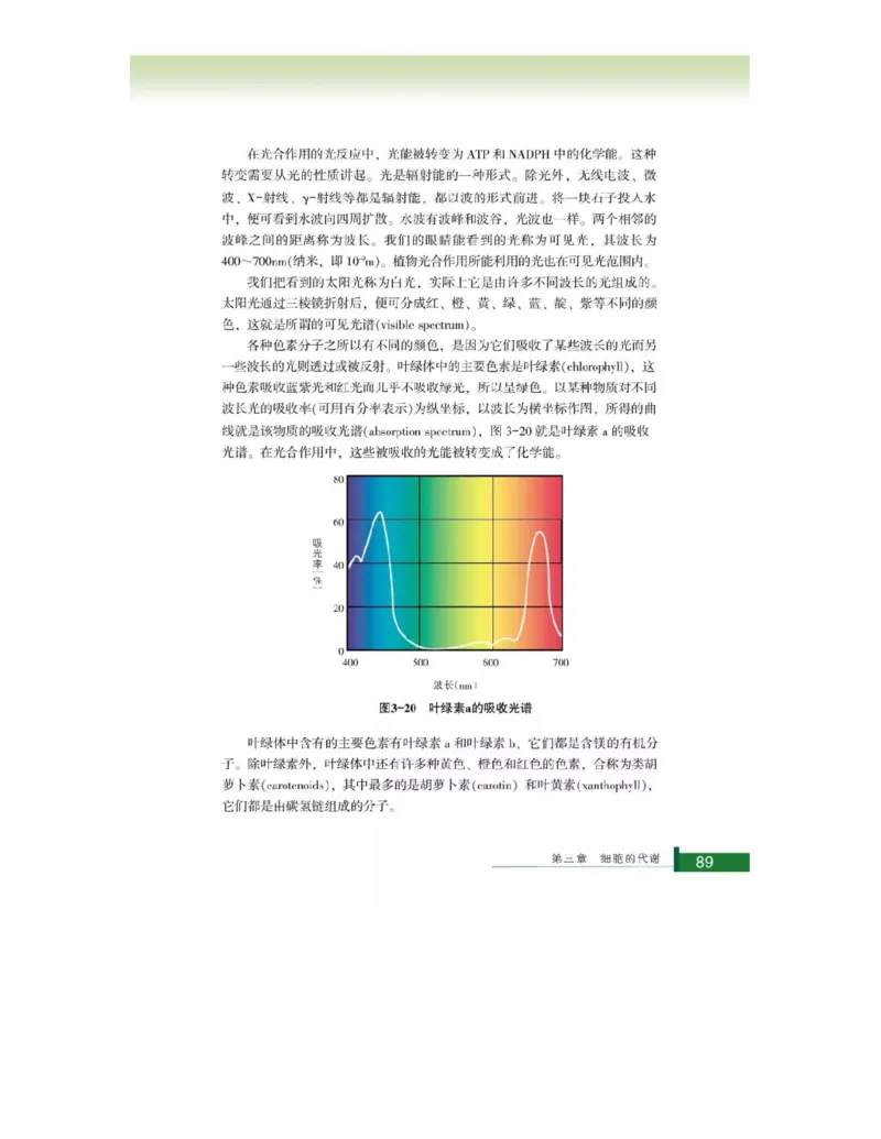浙科版高中生物必修1《分子与细胞》电子课本_高中电子课本_最新版高中全科高清电子课本_6高中生物课本_浙科版高中生物