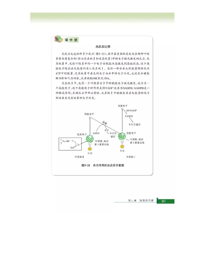 浙科版高中生物必修1《分子与细胞》电子课本_高中电子课本_最新版高中全科高清电子课本_6高中生物课本_浙科版高中生物