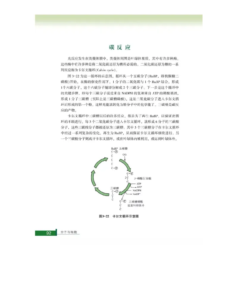 浙科版高中生物必修1《分子与细胞》电子课本_高中电子课本_最新版高中全科高清电子课本_6高中生物课本_浙科版高中生物