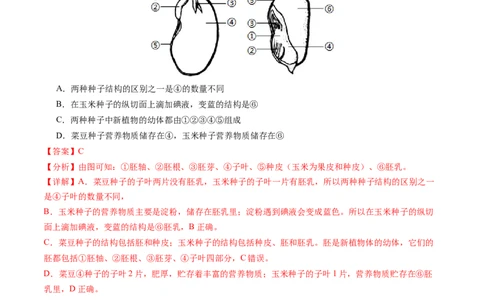 生物（苏州卷）（全解全析）_初中全科电子版试卷练习试题_生物_2024中考模拟题生物(1)_一模_生物（苏州卷）-2024年中考第一次模拟考试