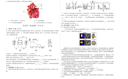 生物（山西太原卷）（考试版A3）_初中全科电子版试卷练习试题_生物_2024中考模拟题生物(1)_三模（37套）_生物（山西太原卷）