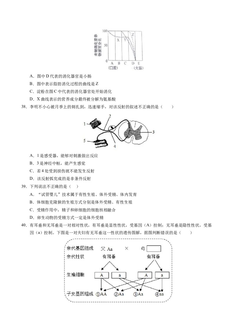 生物（南京卷）（考试版A4）_初中全科电子版试卷练习试题_生物_2024中考模拟题生物(1)_三模（37套）_生物（南京卷）
