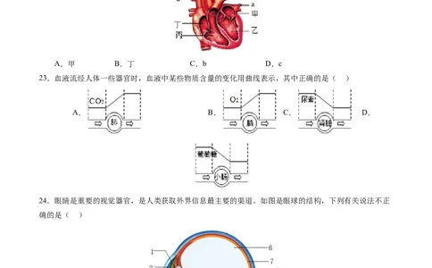 生物（南京卷）（考试版A4）_初中全科电子版试卷练习试题_生物_2024中考模拟题生物(1)_三模（37套）_生物（南京卷）