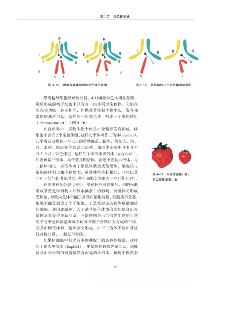 新沪科版高中生物必修2《遗传与进化》_高中电子课本_最新版高中全科高清电子课本_6高中生物课本_2019新人教版