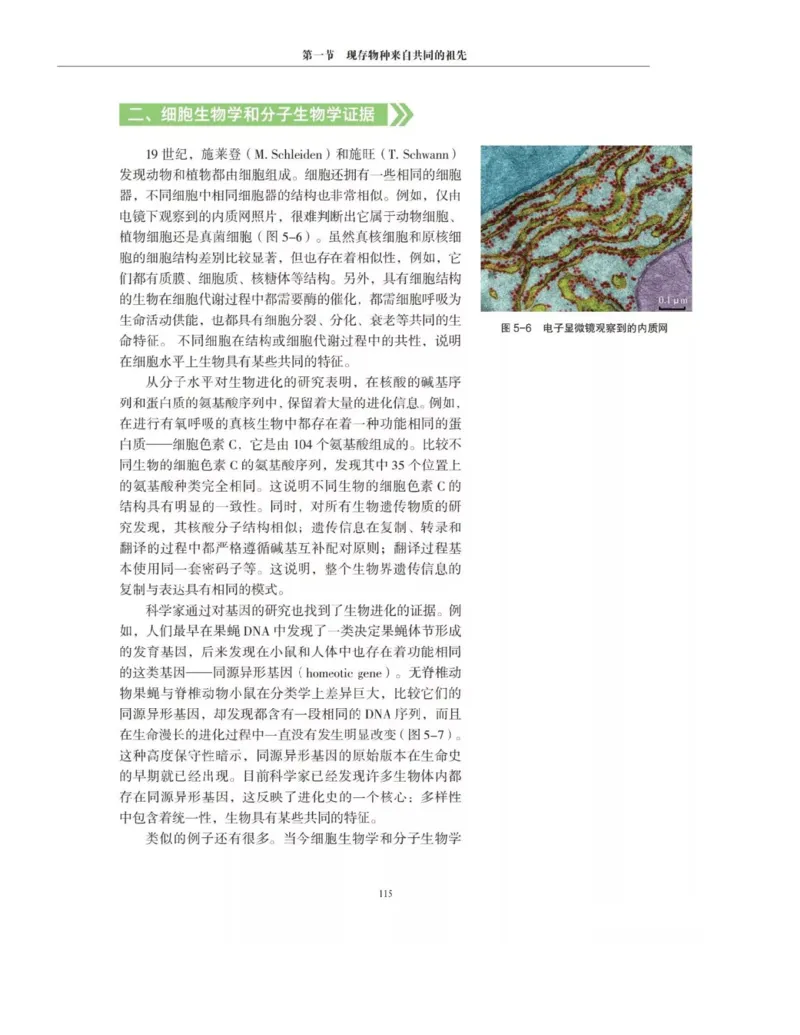 新沪科版高中生物必修2《遗传与进化》_高中电子课本_最新版高中全科高清电子课本_6高中生物课本_2019新人教版