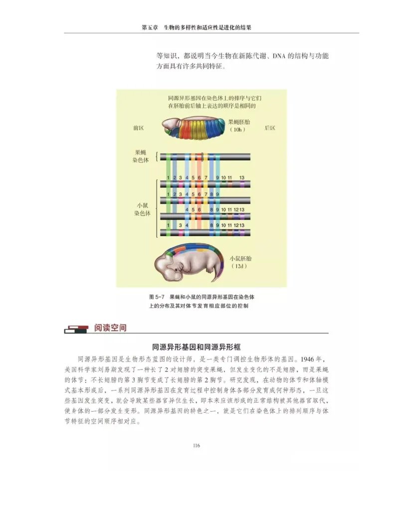 新沪科版高中生物必修2《遗传与进化》_高中电子课本_最新版高中全科高清电子课本_6高中生物课本_2019新人教版