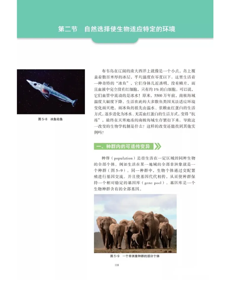 新沪科版高中生物必修2《遗传与进化》_高中电子课本_最新版高中全科高清电子课本_6高中生物课本_2019新人教版