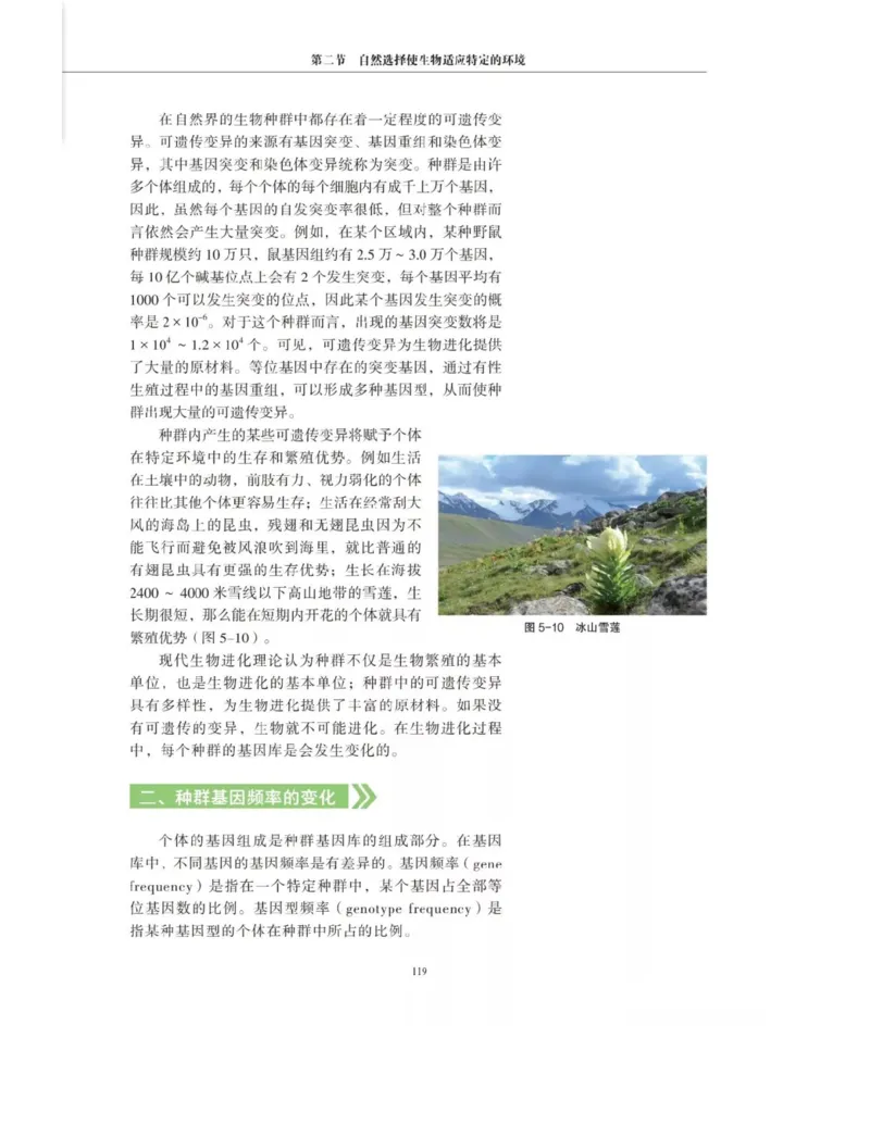 新沪科版高中生物必修2《遗传与进化》_高中电子课本_最新版高中全科高清电子课本_6高中生物课本_2019新人教版