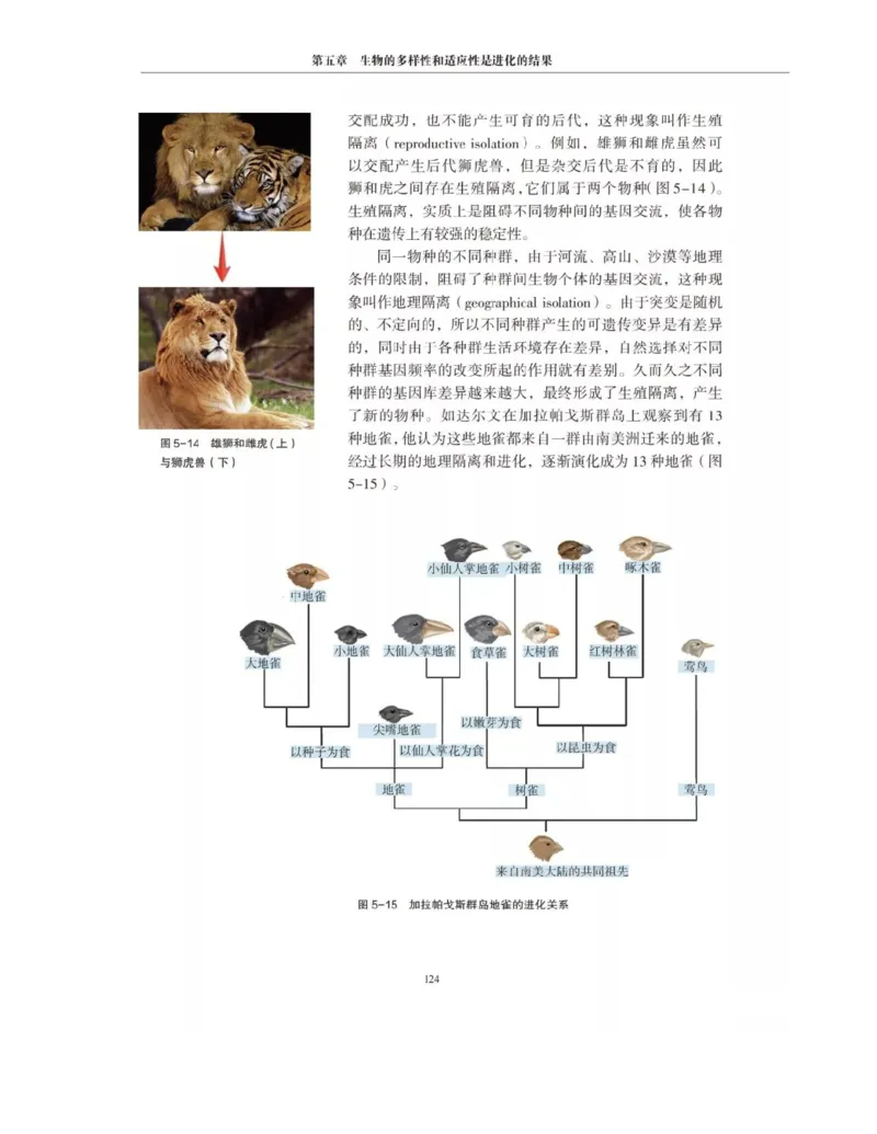 新沪科版高中生物必修2《遗传与进化》_高中电子课本_最新版高中全科高清电子课本_6高中生物课本_2019新人教版