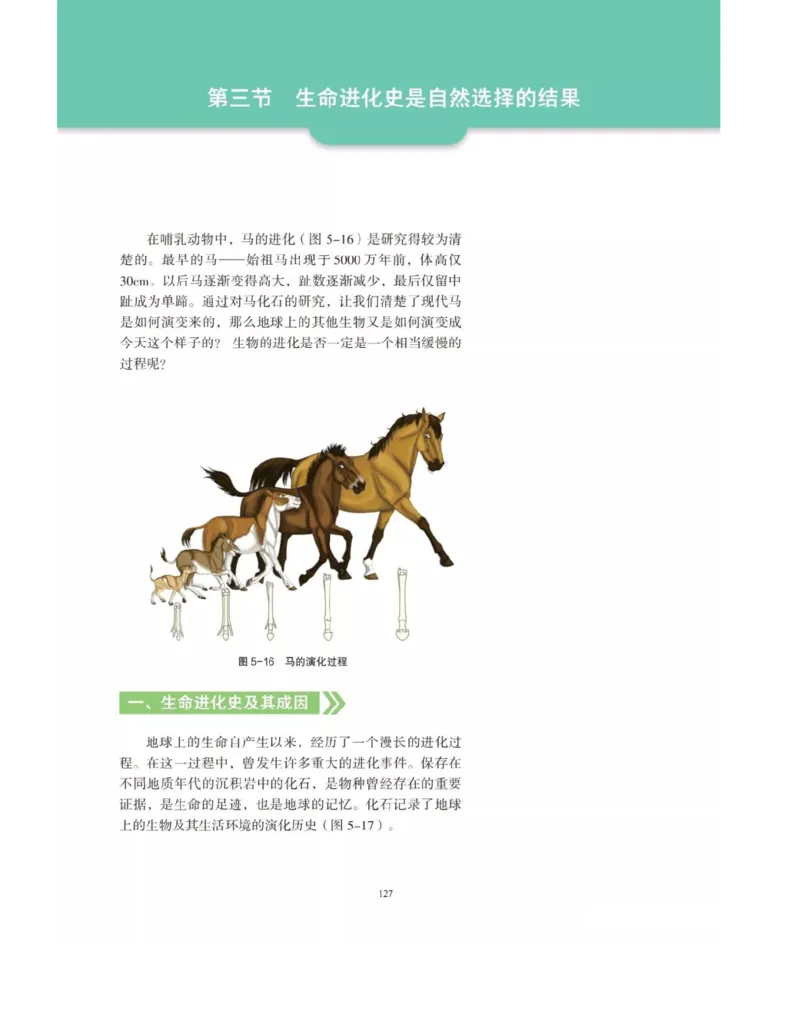 新沪科版高中生物必修2《遗传与进化》_高中电子课本_最新版高中全科高清电子课本_6高中生物课本_2019新人教版