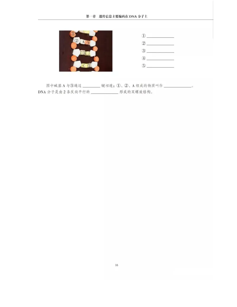 新沪科版高中生物必修2《遗传与进化》_高中电子课本_最新版高中全科高清电子课本_6高中生物课本_2019新人教版