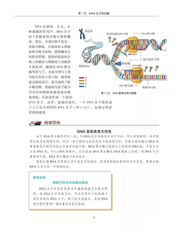 新沪科版高中生物必修2《遗传与进化》_高中电子课本_最新版高中全科高清电子课本_6高中生物课本_2019新人教版