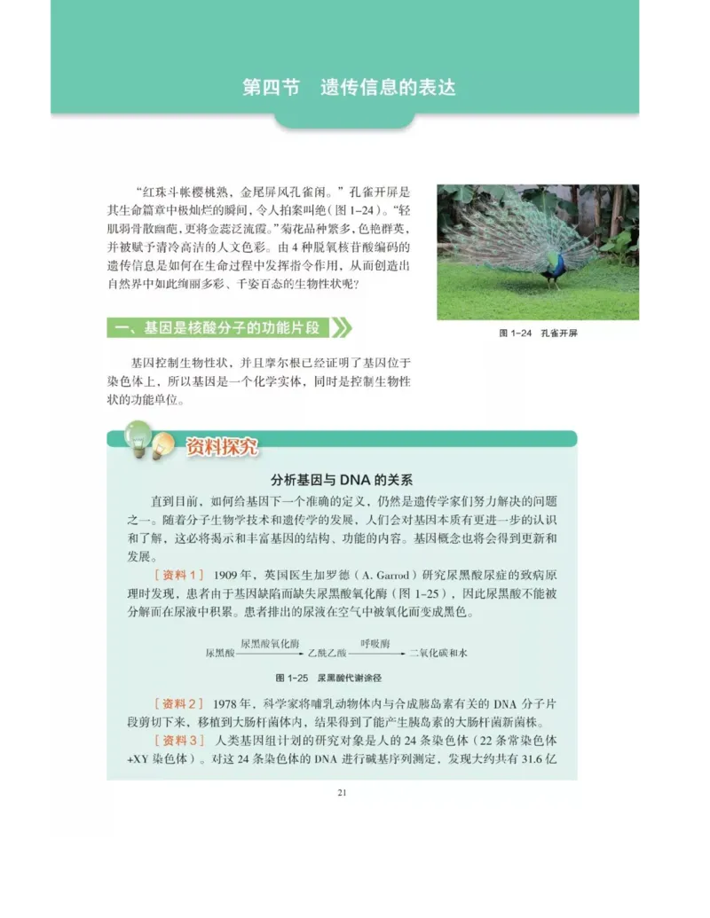 新沪科版高中生物必修2《遗传与进化》_高中电子课本_最新版高中全科高清电子课本_6高中生物课本_2019新人教版