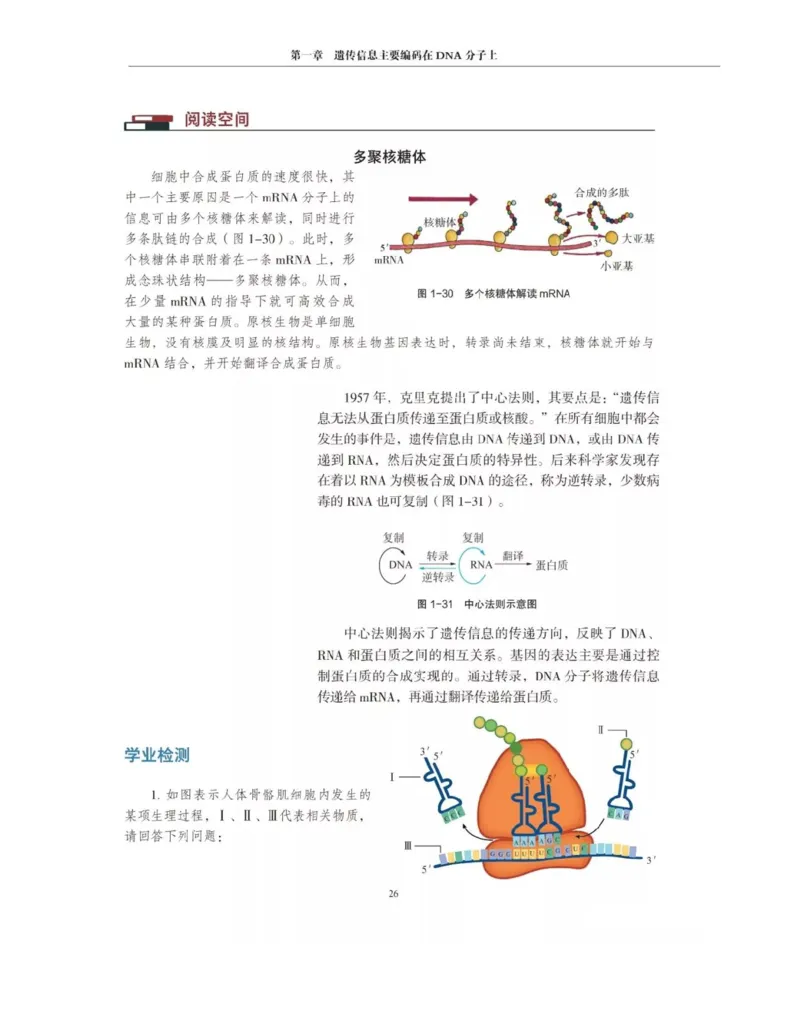 新沪科版高中生物必修2《遗传与进化》_高中电子课本_最新版高中全科高清电子课本_6高中生物课本_2019新人教版