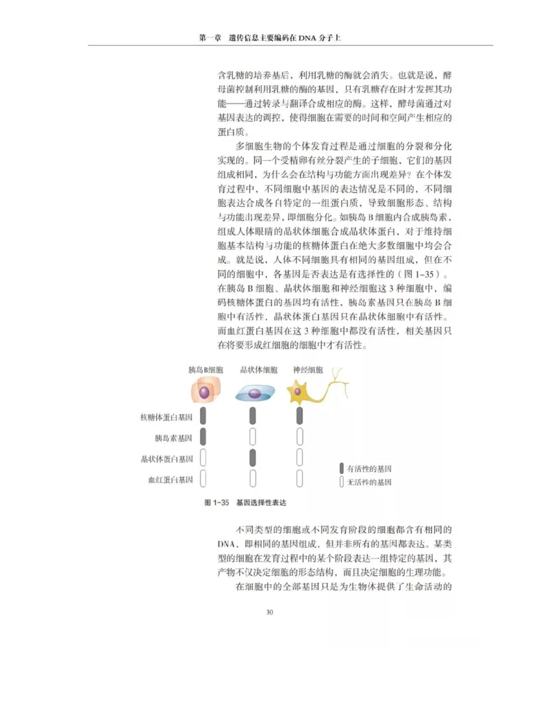 新沪科版高中生物必修2《遗传与进化》_高中电子课本_最新版高中全科高清电子课本_6高中生物课本_2019新人教版