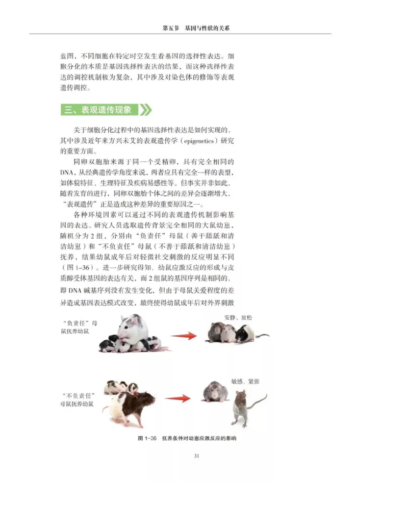 新沪科版高中生物必修2《遗传与进化》_高中电子课本_最新版高中全科高清电子课本_6高中生物课本_2019新人教版