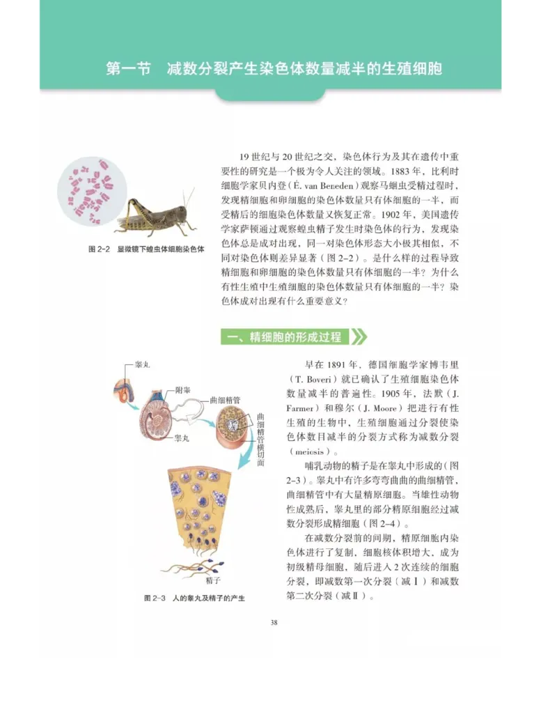 新沪科版高中生物必修2《遗传与进化》_高中电子课本_最新版高中全科高清电子课本_6高中生物课本_2019新人教版