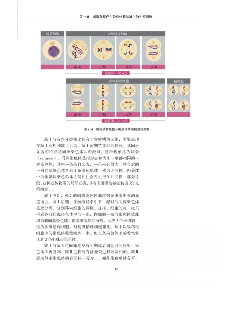 新沪科版高中生物必修2《遗传与进化》_高中电子课本_最新版高中全科高清电子课本_6高中生物课本_2019新人教版