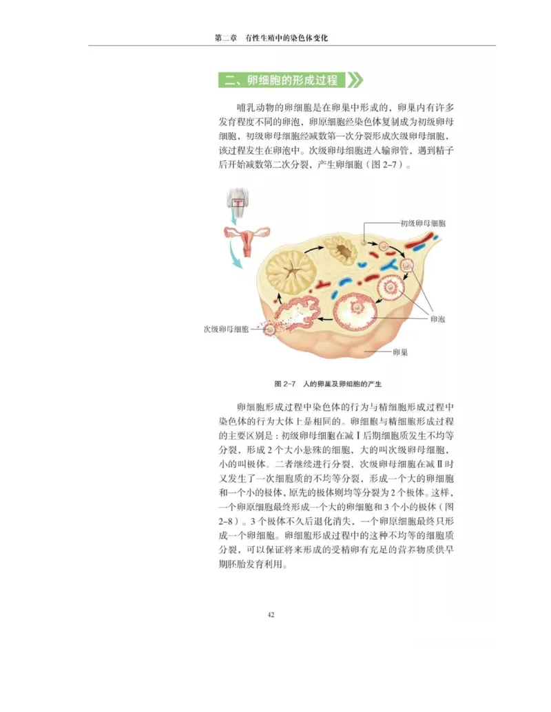 新沪科版高中生物必修2《遗传与进化》_高中电子课本_最新版高中全科高清电子课本_6高中生物课本_2019新人教版