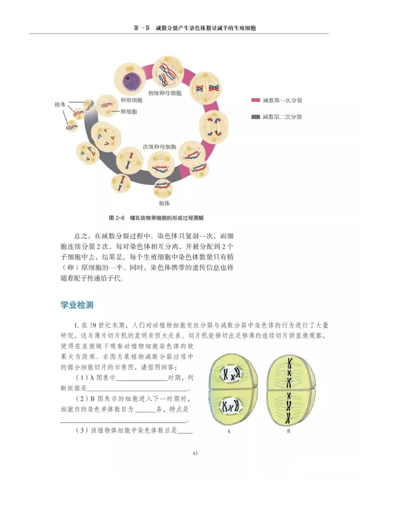 新沪科版高中生物必修2《遗传与进化》_高中电子课本_最新版高中全科高清电子课本_6高中生物课本_2019新人教版