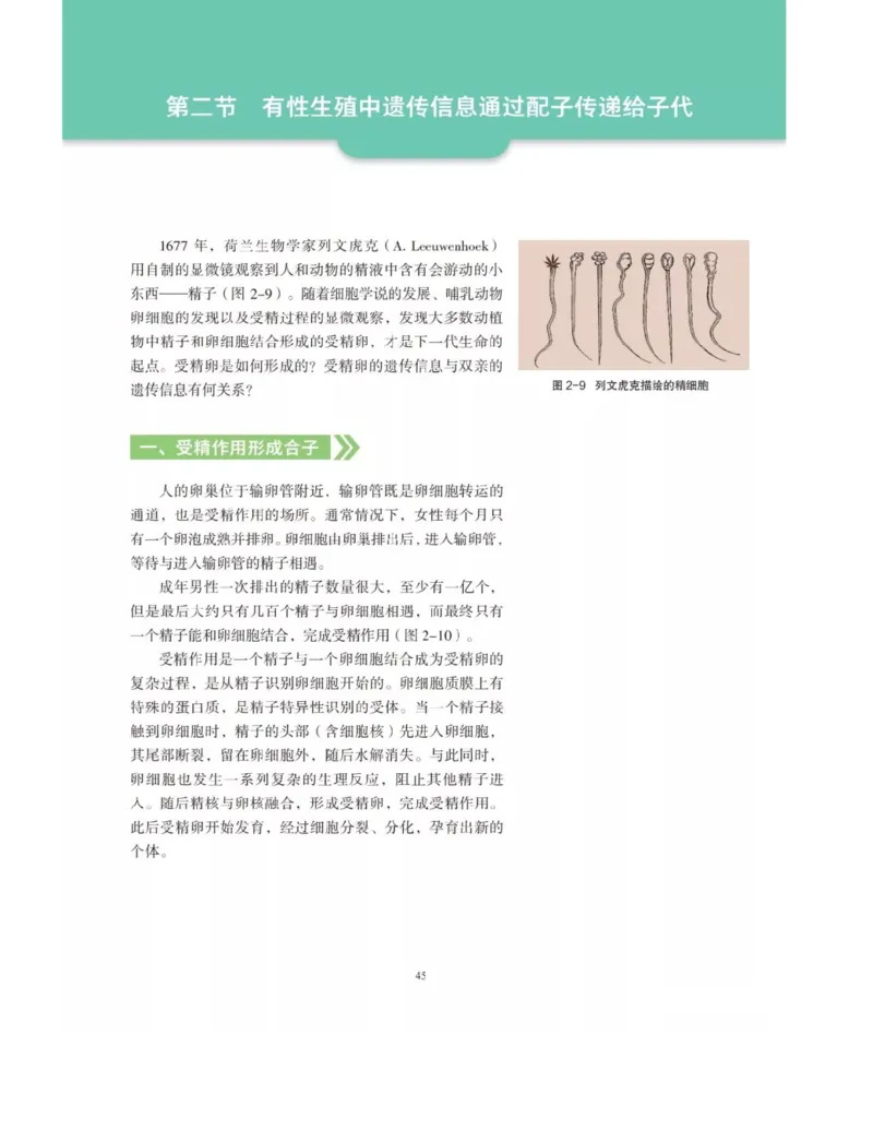 新沪科版高中生物必修2《遗传与进化》_高中电子课本_最新版高中全科高清电子课本_6高中生物课本_2019新人教版