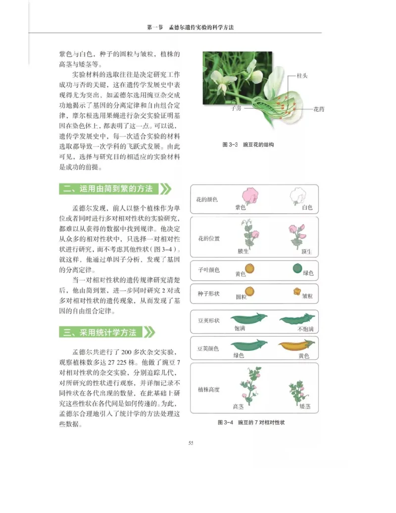 新沪科版高中生物必修2《遗传与进化》_高中电子课本_最新版高中全科高清电子课本_6高中生物课本_2019新人教版