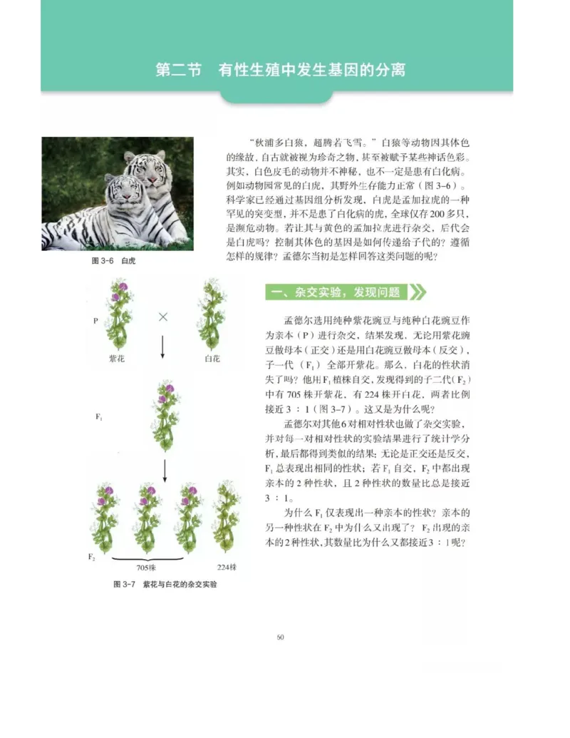 新沪科版高中生物必修2《遗传与进化》_高中电子课本_最新版高中全科高清电子课本_6高中生物课本_2019新人教版