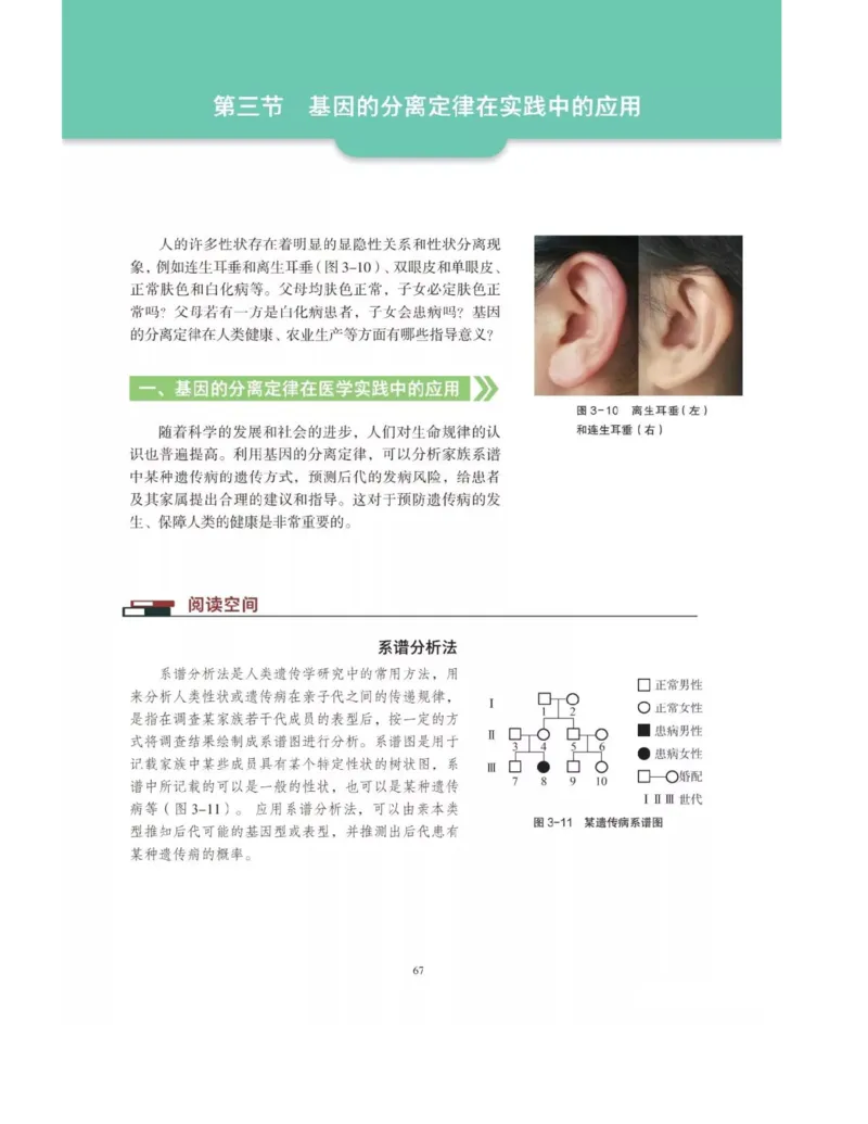 新沪科版高中生物必修2《遗传与进化》_高中电子课本_最新版高中全科高清电子课本_6高中生物课本_2019新人教版
