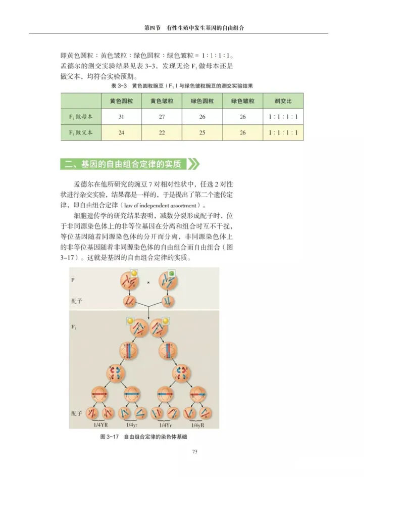 新沪科版高中生物必修2《遗传与进化》_高中电子课本_最新版高中全科高清电子课本_6高中生物课本_2019新人教版
