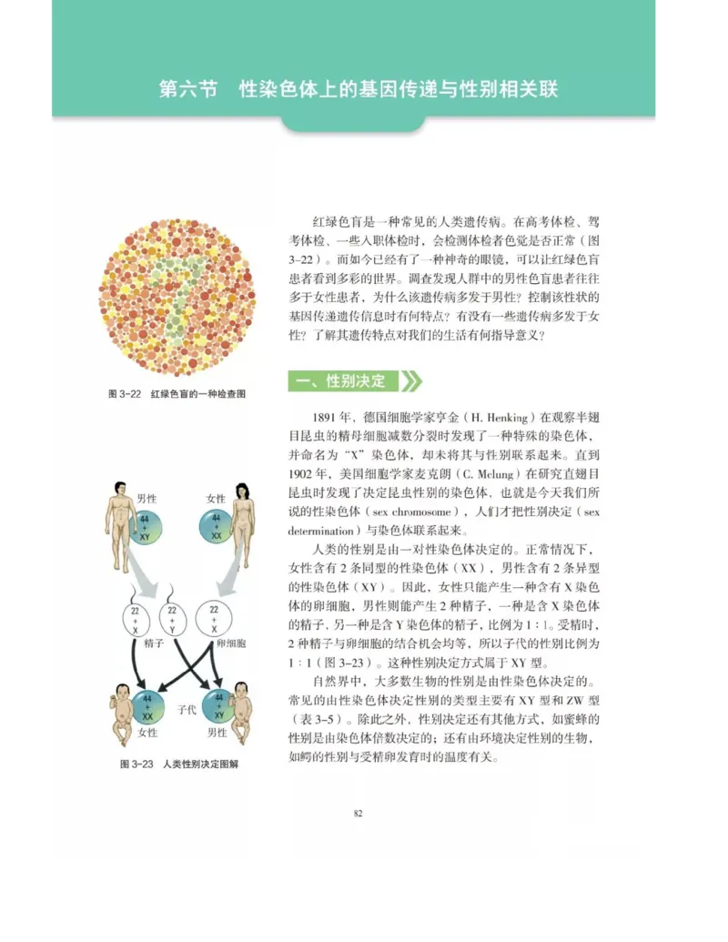 新沪科版高中生物必修2《遗传与进化》_高中电子课本_最新版高中全科高清电子课本_6高中生物课本_2019新人教版
