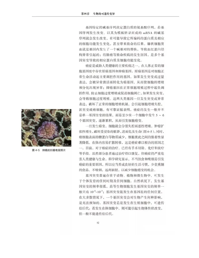 新沪科版高中生物必修2《遗传与进化》_高中电子课本_最新版高中全科高清电子课本_6高中生物课本_2019新人教版