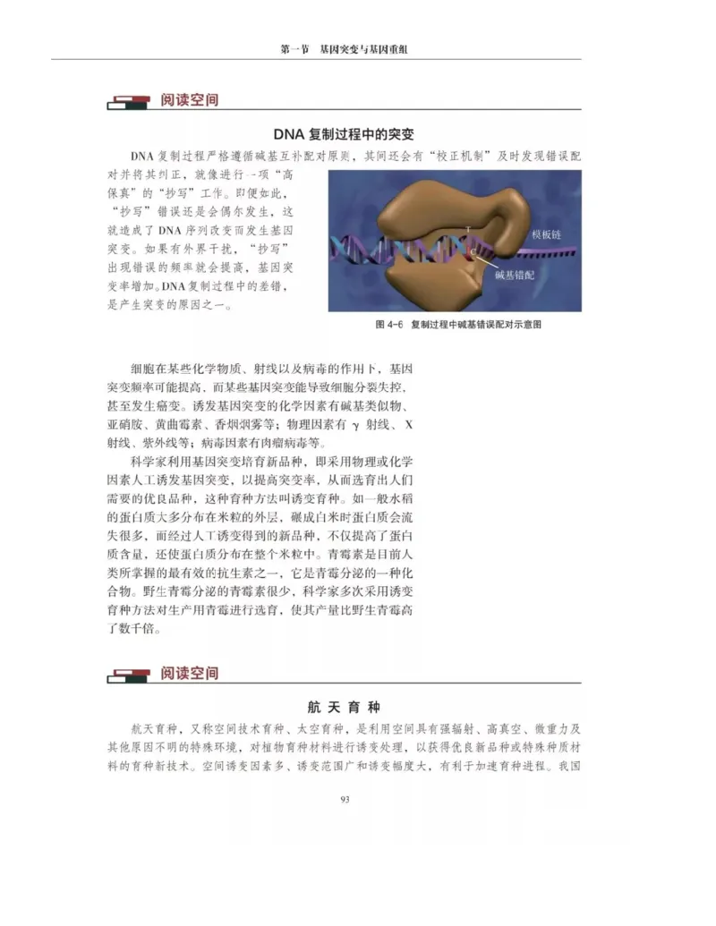 新沪科版高中生物必修2《遗传与进化》_高中电子课本_最新版高中全科高清电子课本_6高中生物课本_2019新人教版