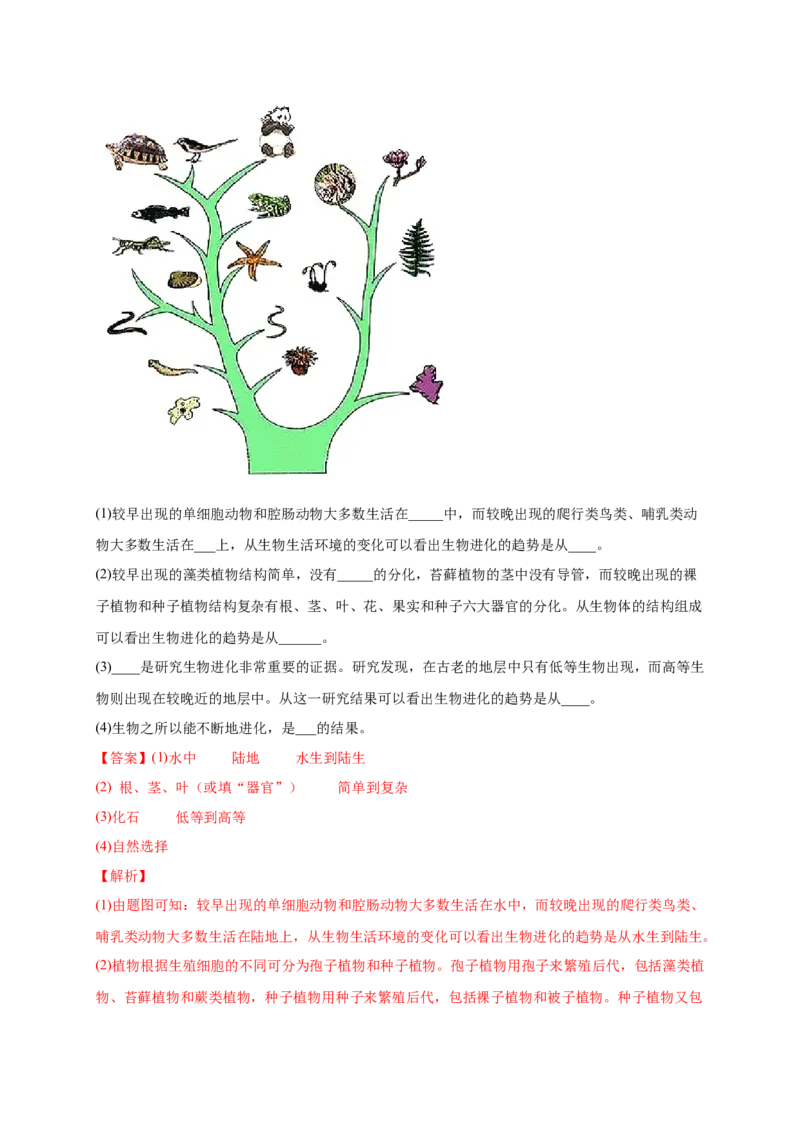 第三单元生命起源和生物进化（提分小卷）-单元测试（人教版）（解析版）_初中全科电子版试卷练习试题_生物_生物8下练习_人教生物8年级下单元试卷38份